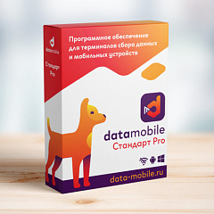 ПО DataMobile, версия Стандарт Pro в Новокузнецке
